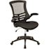 Carnegy Avenue Kelista Mesh Mid-Back Ergonomic Swivel Office Chair in Black with Flip-Up Arms