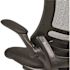 Carnegy Avenue Kelista Mesh Mid-Back Ergonomic Swivel Office Chair in Black with Flip-Up Arms