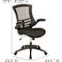 Carnegy Avenue Kelista Mesh Mid-Back Ergonomic Swivel Office Chair in Black with Flip-Up Arms
