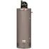Rheem Professional Classic Plus Power Vent 75 Gal. Tall 8-Year 75.1k BTU Liquid Propane Gas Tank Water Heater