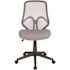 Carnegy Avenue Light Gray Mesh Office/Desk Chair