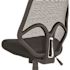 Carnegy Avenue Mesh Swivel Office Chair in Black