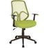 Carnegy Avenue Green Mesh Office/Desk Chair