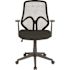 Carnegy Avenue Black Mesh Office/Desk Chair