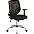 Carnegy Avenue Black Mesh Mesh Office/Desk Chair