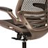 Carnegy Avenue Mesh Swivel Office Chair in Black