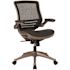 Carnegy Avenue Mesh Swivel Office Chair in Black