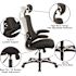 Carnegy Avenue Mesh Swivel Office Chair in Black
