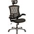 Carnegy Avenue Mesh Swivel Office Chair in Black