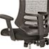 Carnegy Avenue Waylon Mesh Ergonomic Office Chair in Black with Molded Foam Seat and Adjustable Arms