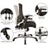 Carnegy Avenue Waylon Mesh Ergonomic Office Chair in Black with Molded Foam Seat and Adjustable Arms