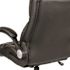 Carnegy Avenue Faux Leather Swivel Ergonomic Office Chair in Black