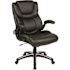 Carnegy Avenue Faux Leather Swivel Ergonomic Office Chair in Black