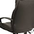 Carnegy Avenue Faux Leather Swivel Ergonomic Office Chair in Black