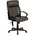 Carnegy Avenue Faux Leather Swivel Ergonomic Office Chair in Black