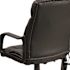 Carnegy Avenue Faux Leather Swivel Ergonomic Office Chair in Black