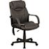 Carnegy Avenue Faux Leather Swivel Ergonomic Office Chair in Black