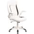 Carnegy Avenue White Office/Desk Chair