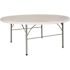 Carnegy Avenue Stonewall 71 in. L Round Granite White Plastic Top with Carrying Handle Folding Banquet Table (Seats 8)