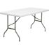 Carnegy Avenue Elon 60 in. L Rectangular Granite White Plastic Top Folding Utility Tables