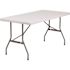 Carnegy Avenue 60 in. Granite White Plastic Tabletop Metal Frame Folding Table