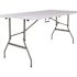 Carnegy Avenue 60 in. Granite White Plastic Tabletop Metal Frame Folding Table