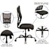 Carnegy Avenue Fabric Adjustable Height Ergonomic Task Chair in Black
