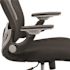 Carnegy Avenue Mesh Swivel Ergonomic Office Chair in Black