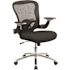 Carnegy Avenue Mesh Swivel Ergonomic Office Chair in Black