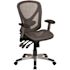 Carnegy Avenue Mesh Swivel Office Chair in Gray