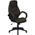 Carnegy Avenue Faux Leather Swivel Ergonomic Office Chair in Black