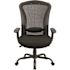 Carnegy Avenue Fabric Swivel Ergonomic Office Chair in Black