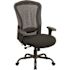 Carnegy Avenue Fabric Swivel Ergonomic Office Chair in Black
