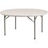 Carnegy Avenue Kathryn 60 in. L Round Granite White Plastic Top Event Party Folding Utility Tables