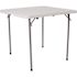 Carnegy Avenue 33.5 in. Granite White Plastic Tabletop Metal Frame Folding Table
