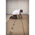 TRIMACO 1.89 in. x 164 ft. X-Board Seam Tape