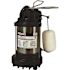 RIDGID 1/3 HP Stainless Steel Dual Suction Submersible Sump Pump