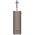 Rheem Professional Classic Mobile Home 40 Gal. Convertible Residential Natural Gas/Liquid Propane Direct Vent Water Heater
