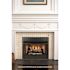 Pleasant Hearth Universal Radiant Zero Clearance 32 in. Ventless Dual Fuel Fireplace Insert
