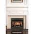 Pleasant Hearth Universal Circulating Zero Clearance 42 in. Ventless Dual Fuel Fireplace Insert