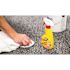 Goof Off 12 oz. Paint Remover for Carpet