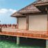 SeaSun Moonstone Dark Brown Cordless Outdoor Patio Roller Shade 96 in. W x 96 in. L