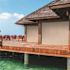 SeaSun Coronado Tan Cordless Outdoor Patio Roller Shade 96 in. W x 96 in. L