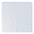 Renown 18 in. x 18 in. Glass Cleaning Microfiber Cloth, Blue (12-Pack)