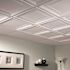 GENESIS 23.75in. X 23.75in. Icon Coffer Lay In Vinyl White Ceiling Panel (Case of 12)
