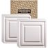 GENESIS 2 ft. x 2 ft. Icon Relief Lay In Vinyl White Ceiling Tile Panel (Case of 12)