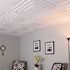 GENESIS 2 ft. x 2 ft. Icon Relief Lay In Vinyl White Ceiling Tile Panel (Case of 12)