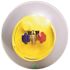 Flame King 50 lbs. Capacity Refrigerant Recovery Cylinder Tank