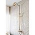 Kingston Brass 2-Handle 1-Spray Shower Claw Foot Tub Faucet with Handshower in Polished Brass (Valve Included)