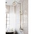 Kingston Brass 2-Handle 1-Spray Shower Claw Foot Tub Faucet with Handshower in Polished Brass (Valve Included)
